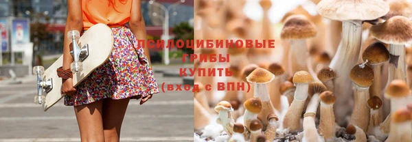 mix Белокуриха