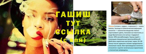 прущие грибы Балабаново