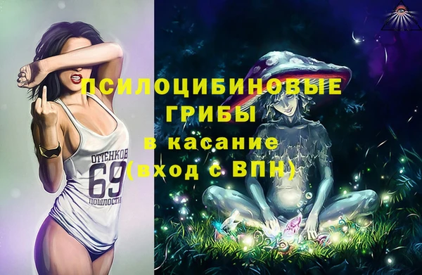 прущие грибы Балабаново